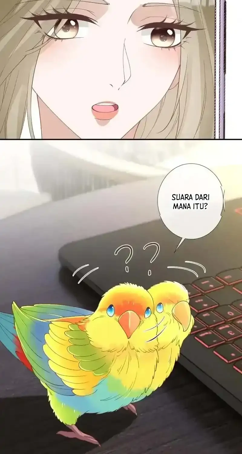 Bao Jin Wo De Xiao Majia Chapter 416 - halaman 11