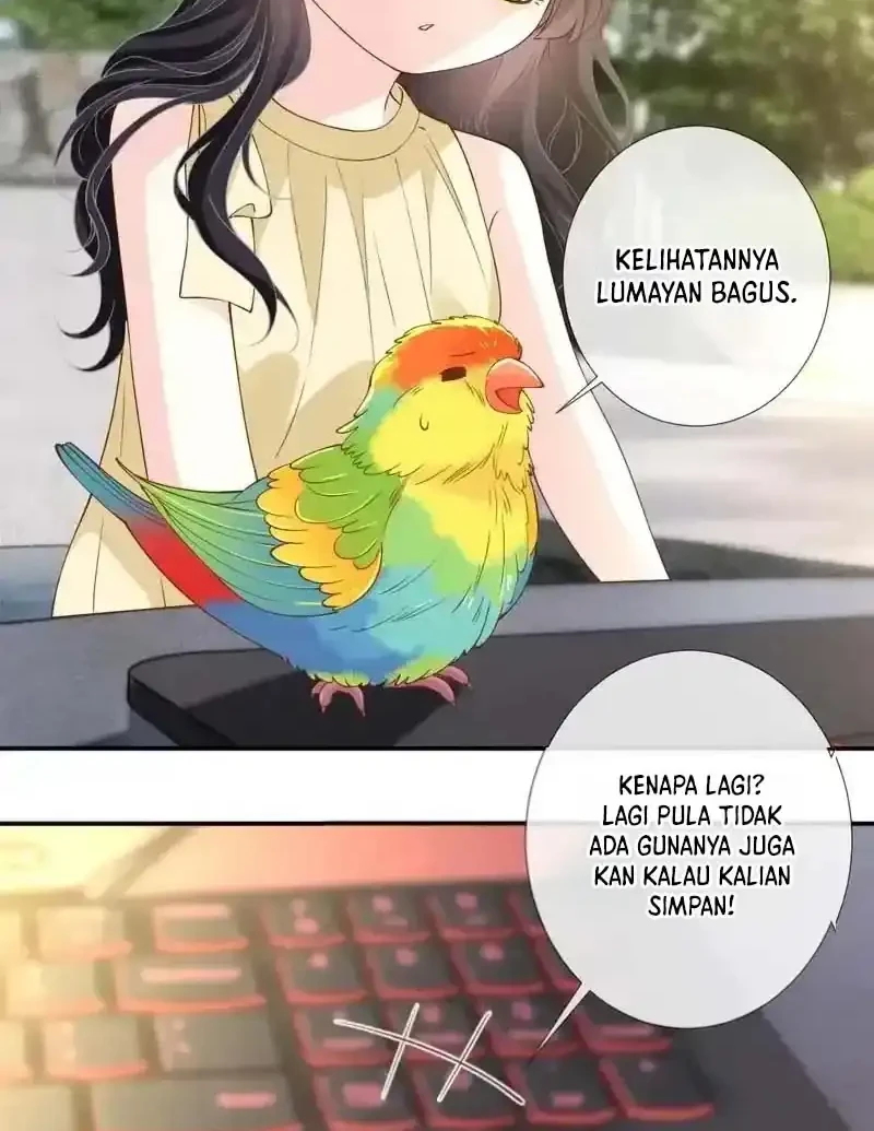 Bao Jin Wo De Xiao Majia Chapter 416 - halaman 23