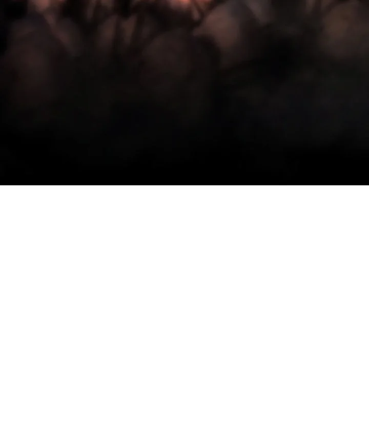 Barbarian Quest Chapter 33 - halaman 2