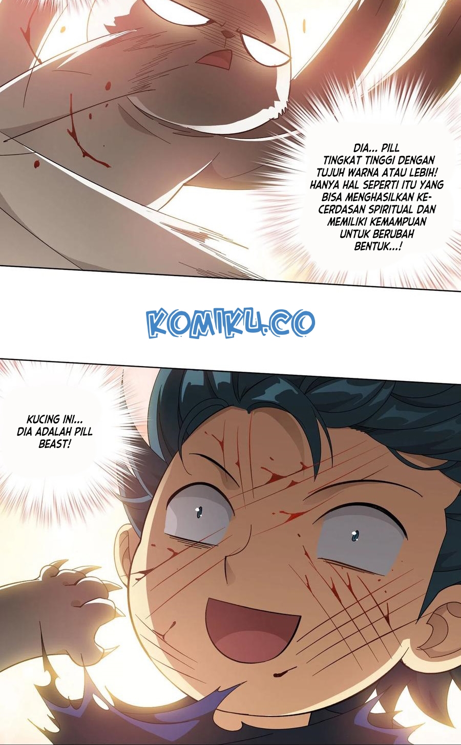 Battle Through the Heavens Chapter 312 - halaman 40