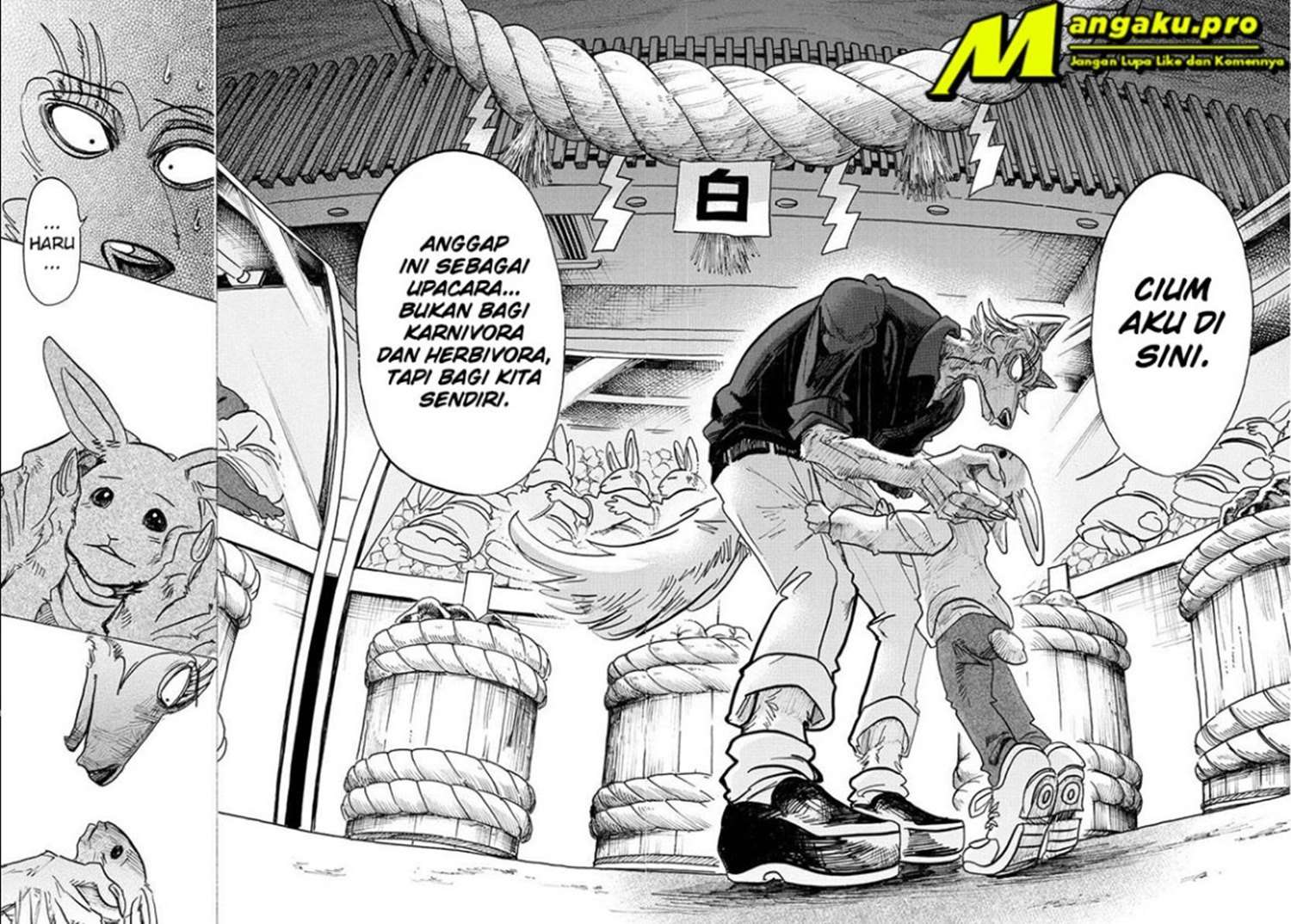 Beastars Chapter 122 - halaman 13