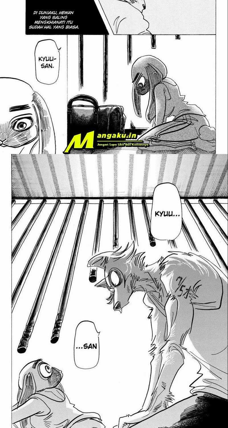 Beastars Chapter 171 - halaman 5