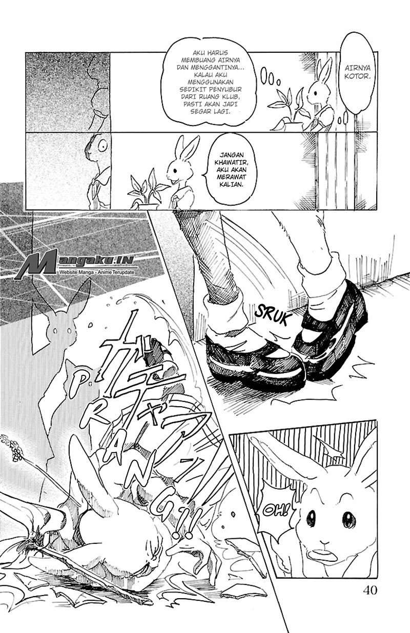 Beastars Chapter 18 - halaman 14