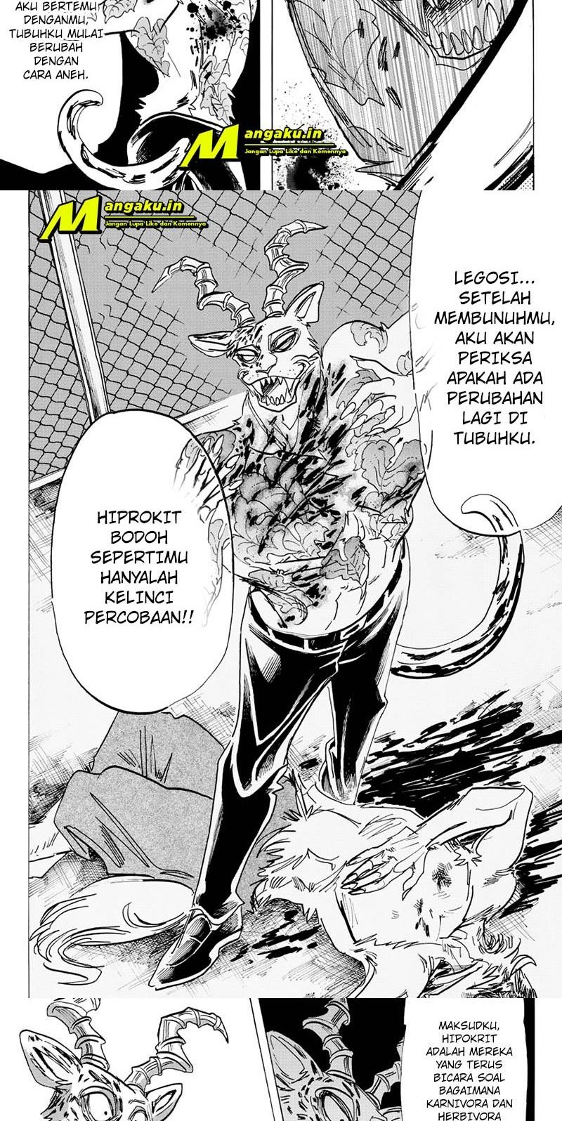 Beastars Chapter 184 - halaman 10