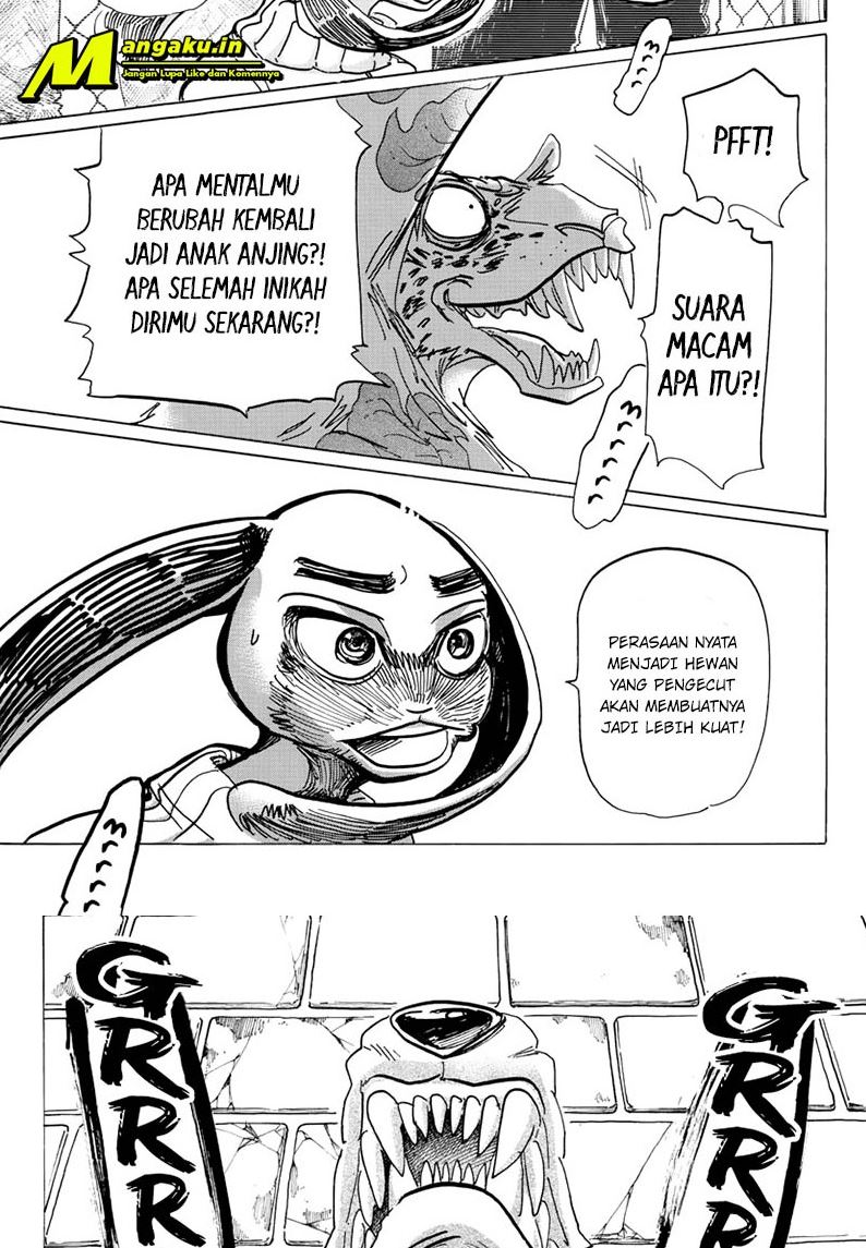 Beastars Chapter 187 - halaman 16