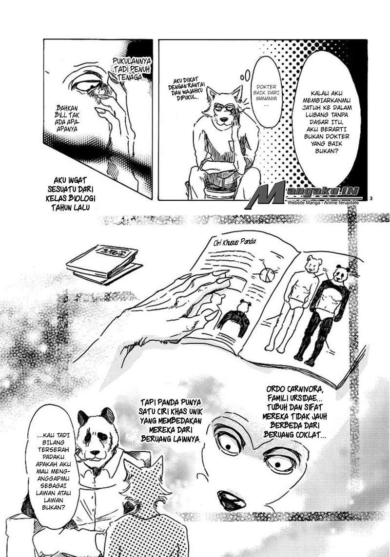 Beastars Chapter 25 - halaman 4