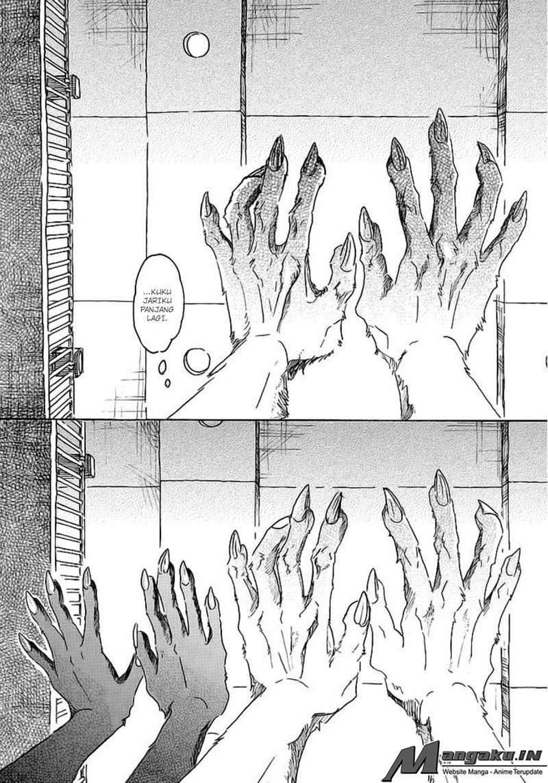 Beastars Chapter 27 - halaman 12