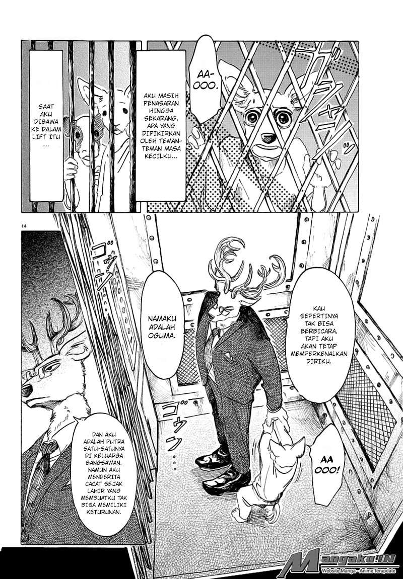 Beastars Chapter 33 - halaman 16