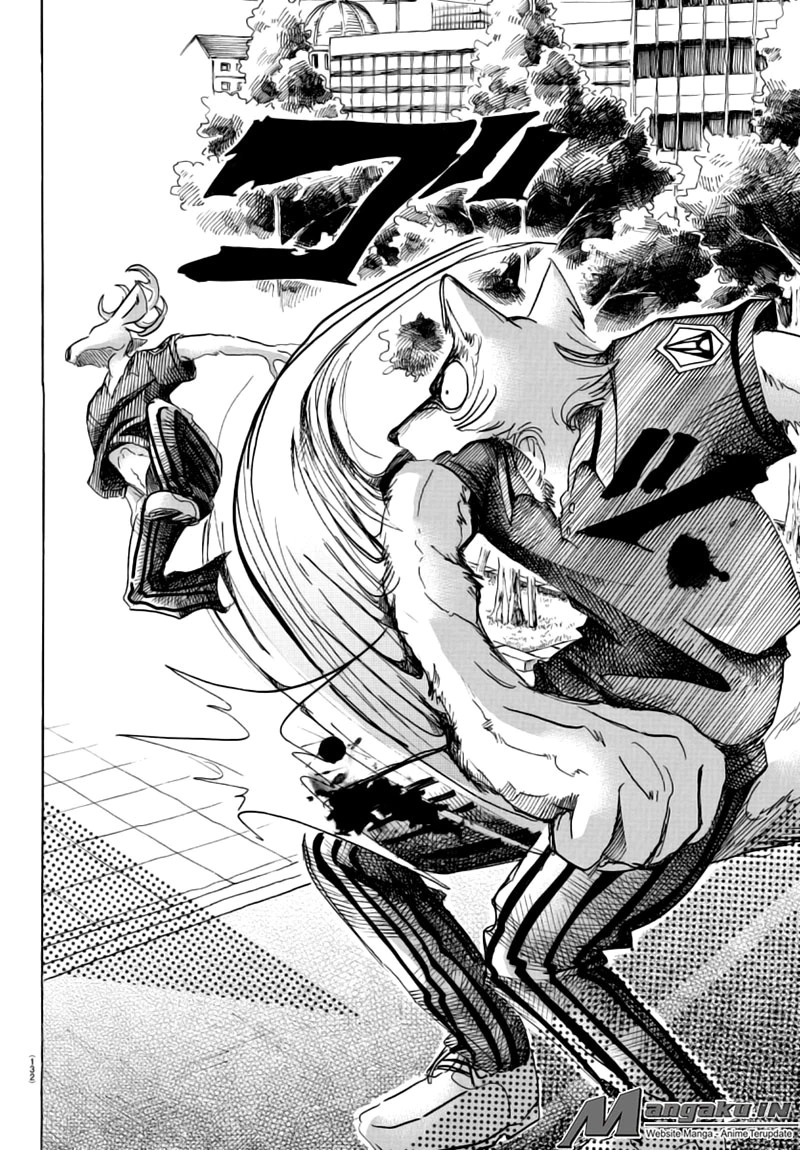 Beastars Chapter 36 - halaman 15