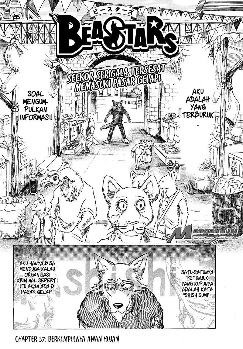 Beastars Chapter 37 - halaman 3