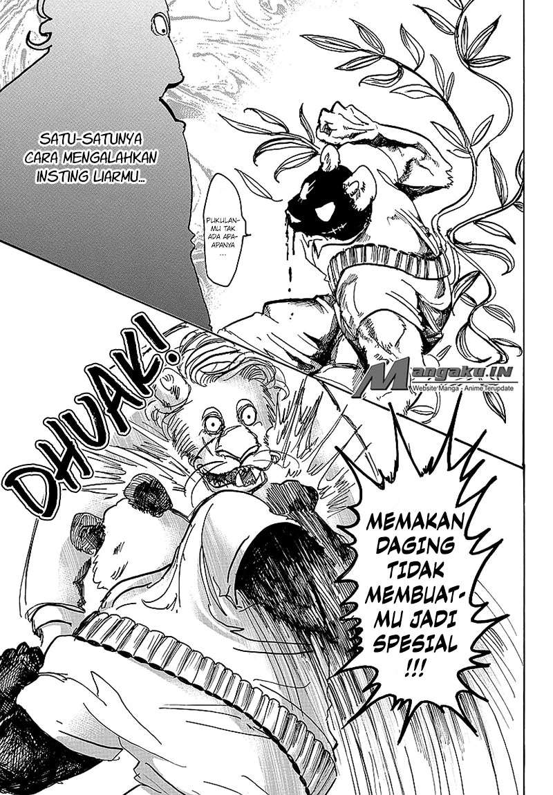 Beastars Chapter 39 - halaman 19