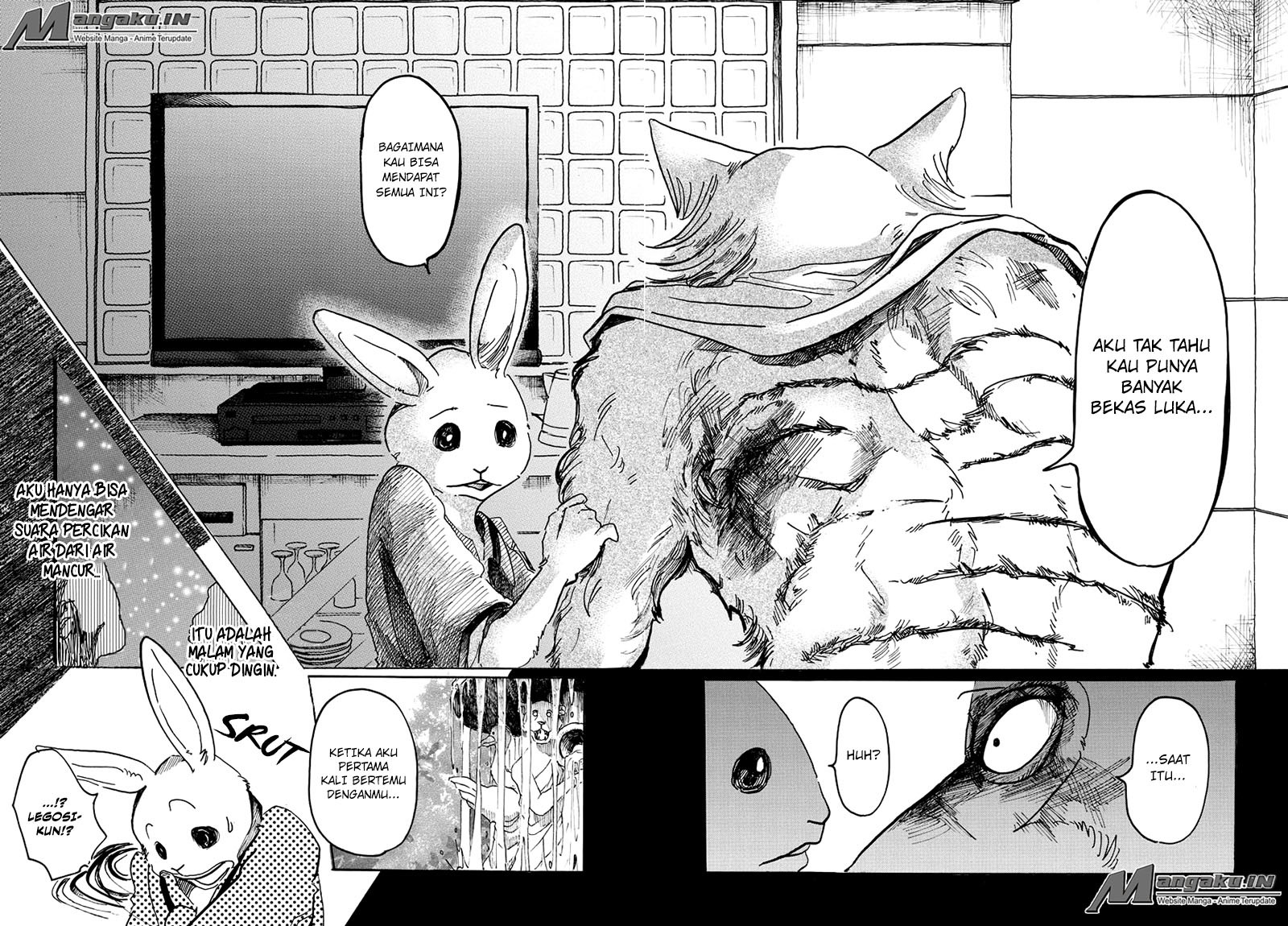 Beastars Chapter 43 - halaman 19