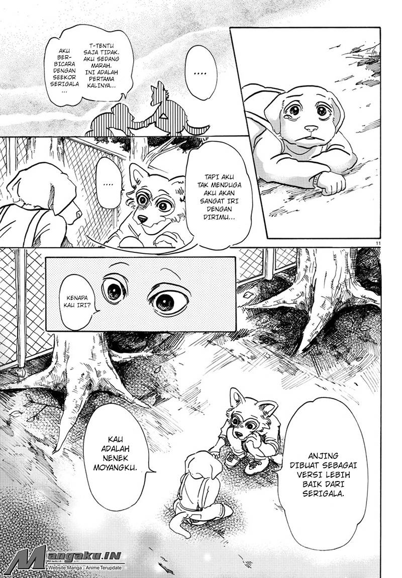 Beastars Chapter 49 - halaman 12