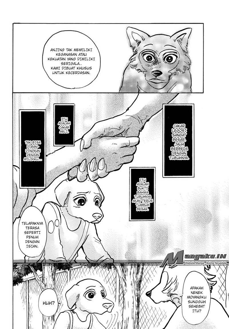 Beastars Chapter 49 - halaman 13