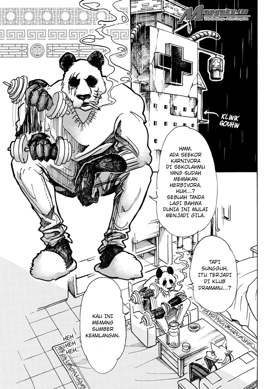 Beastars Chapter 62 - halaman 6