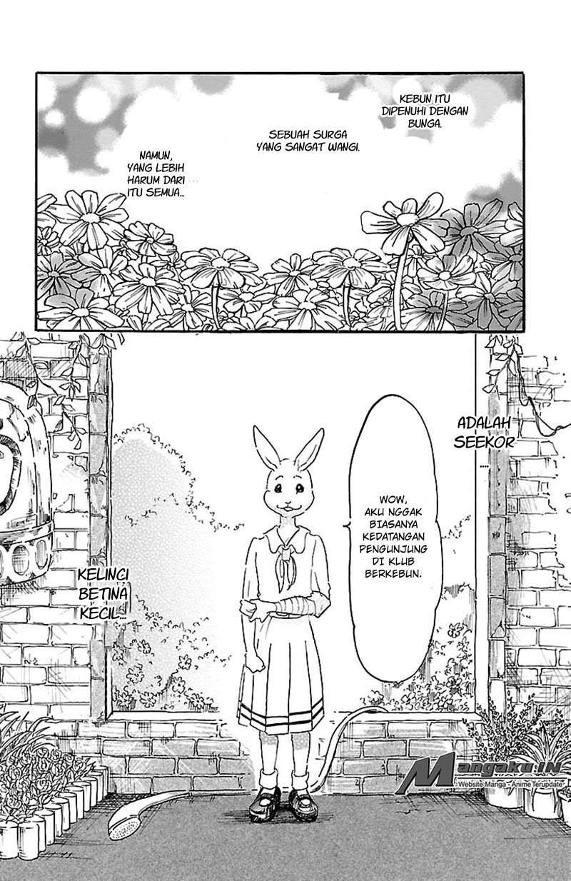 Beastars Chapter 8 - halaman 4