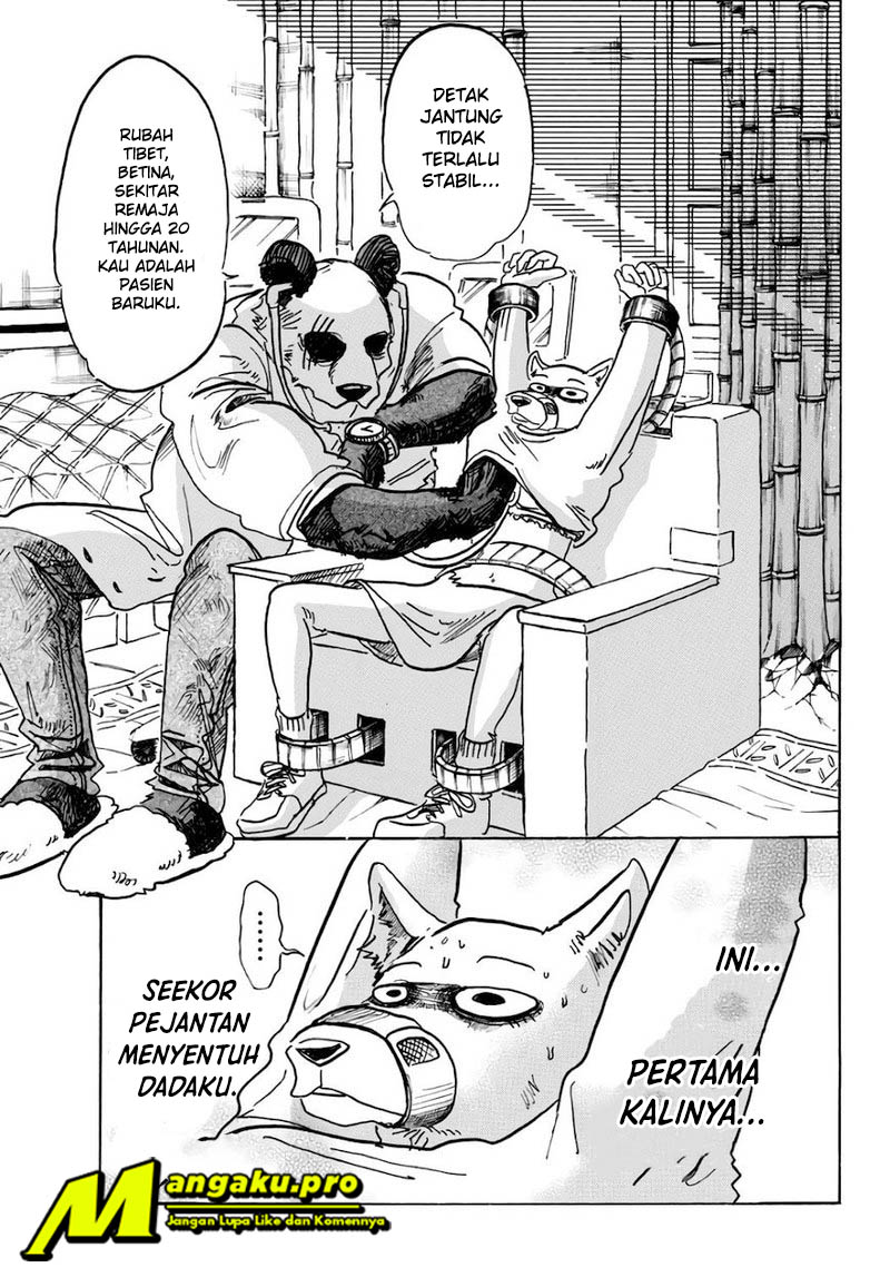 Beastars Chapter 86 - halaman 4
