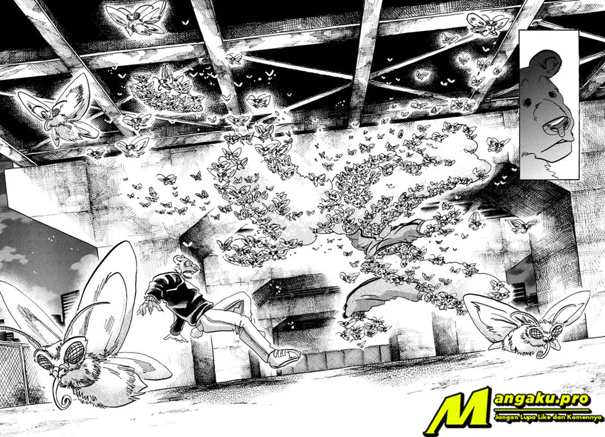 Beastars Chapter 93 - halaman 13