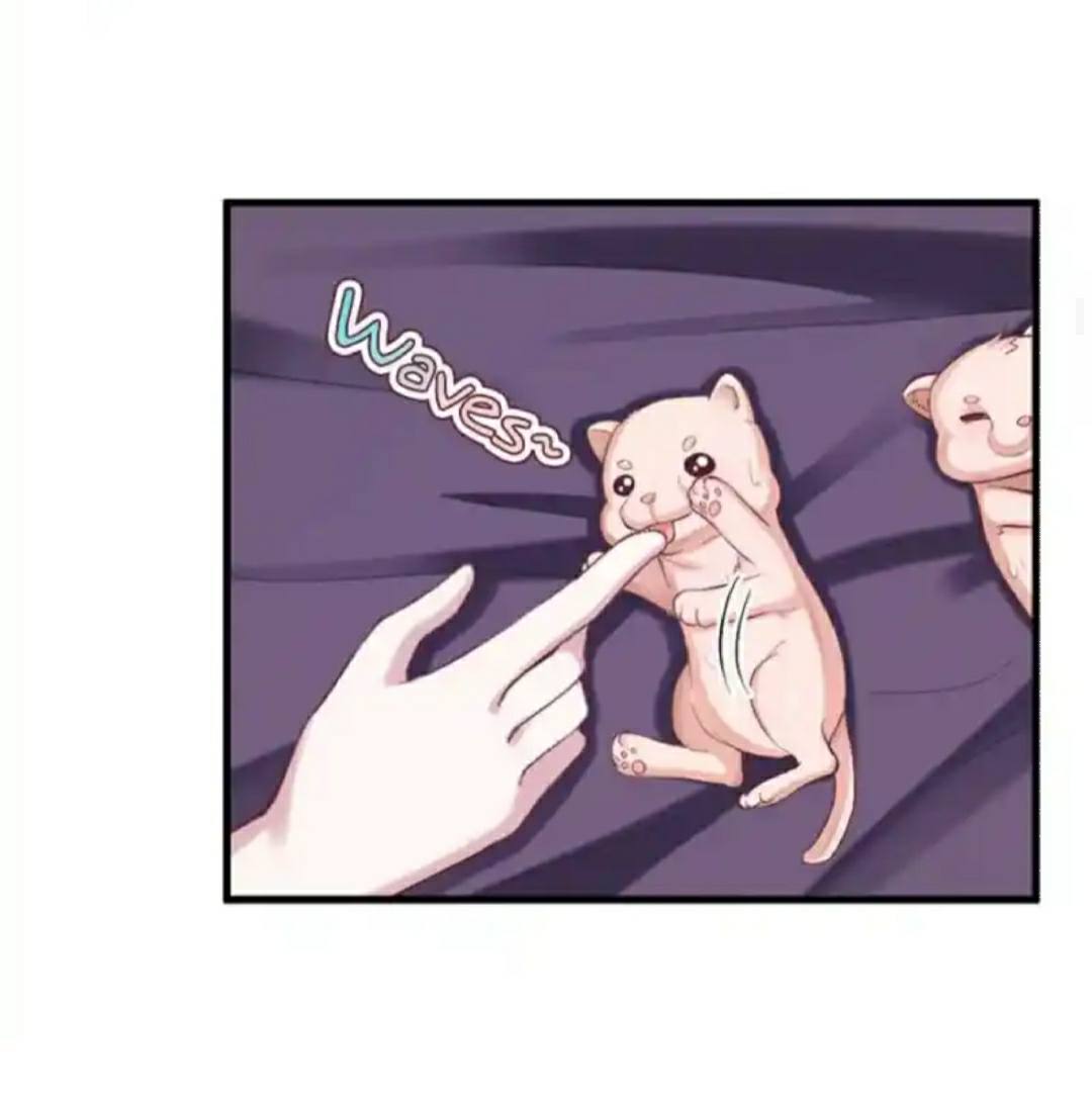 Beauty and the Beast Chapter 206 - halaman 22