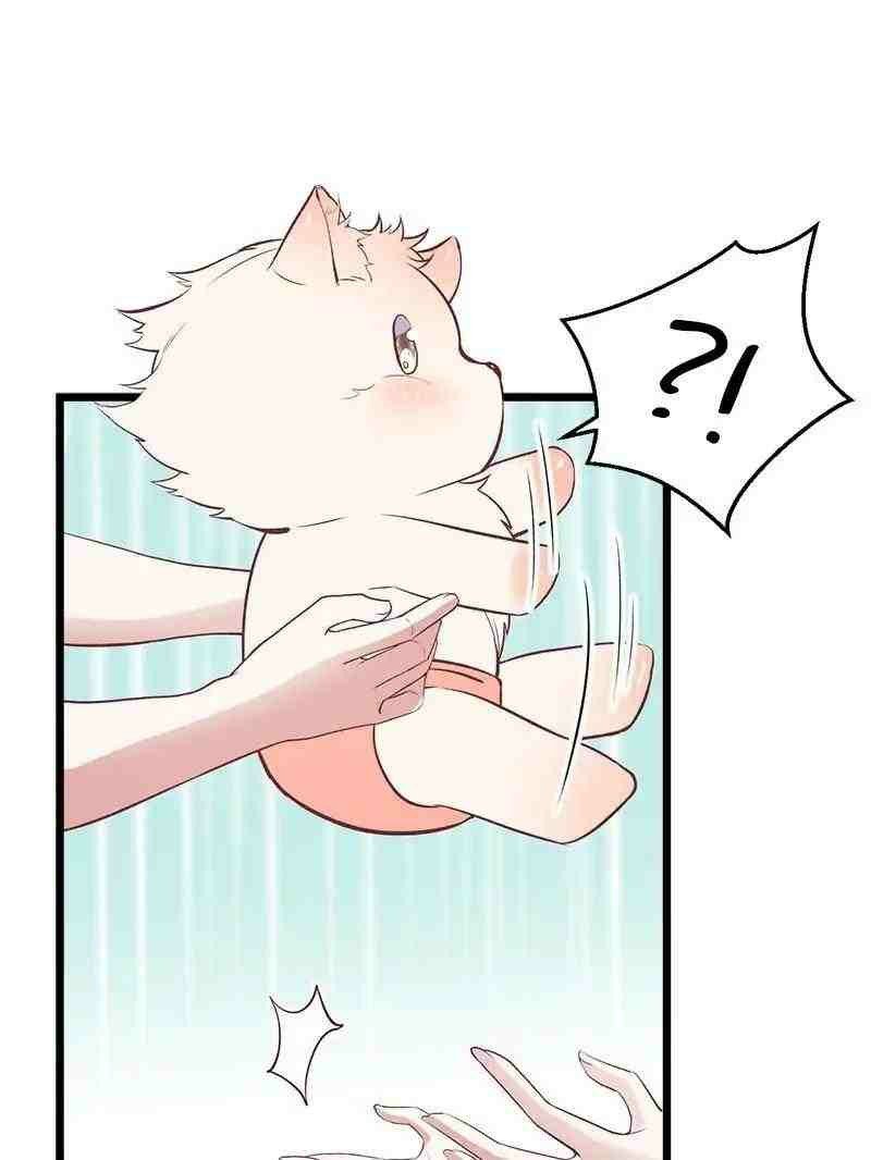Beauty and the Beast Chapter 71 - halaman 13