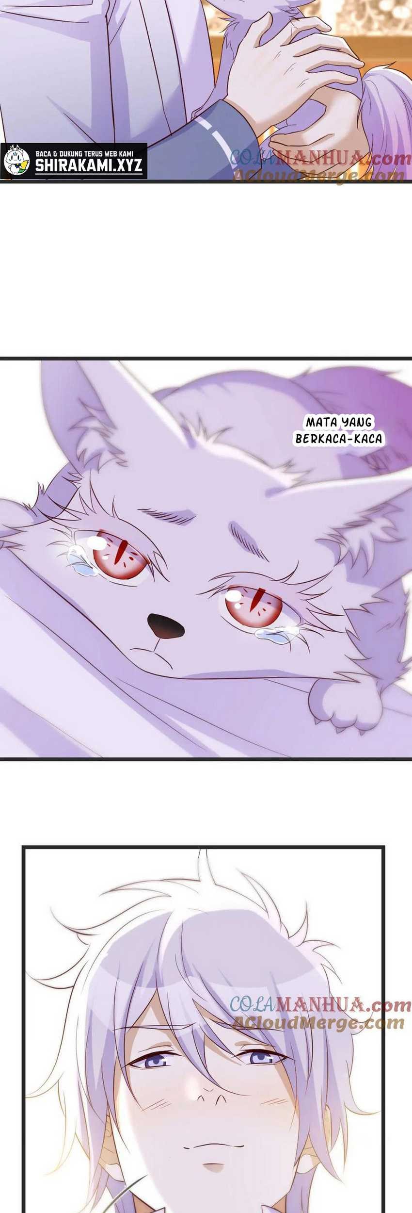 Before Becoming Invincible, Too Many Love Chapter 109 - halaman 15