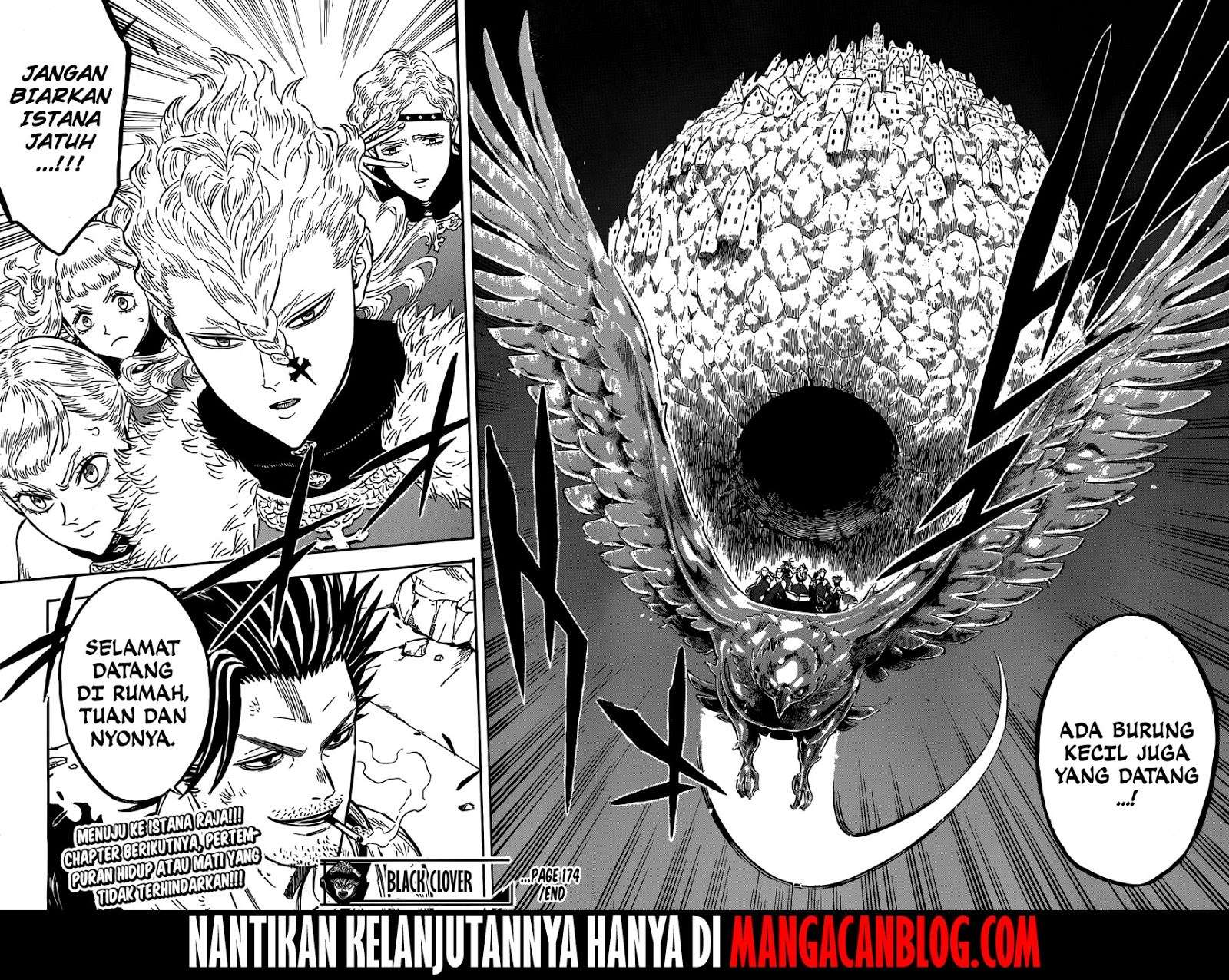 Black Clover Chapter 174 - halaman 16