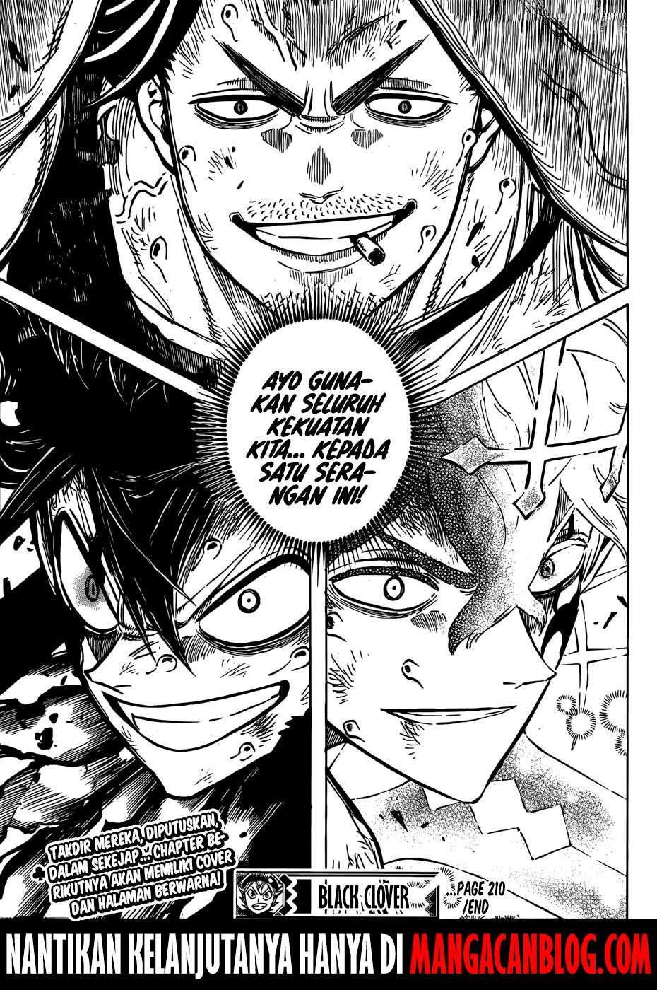 Black Clover Chapter 210 - halaman 16