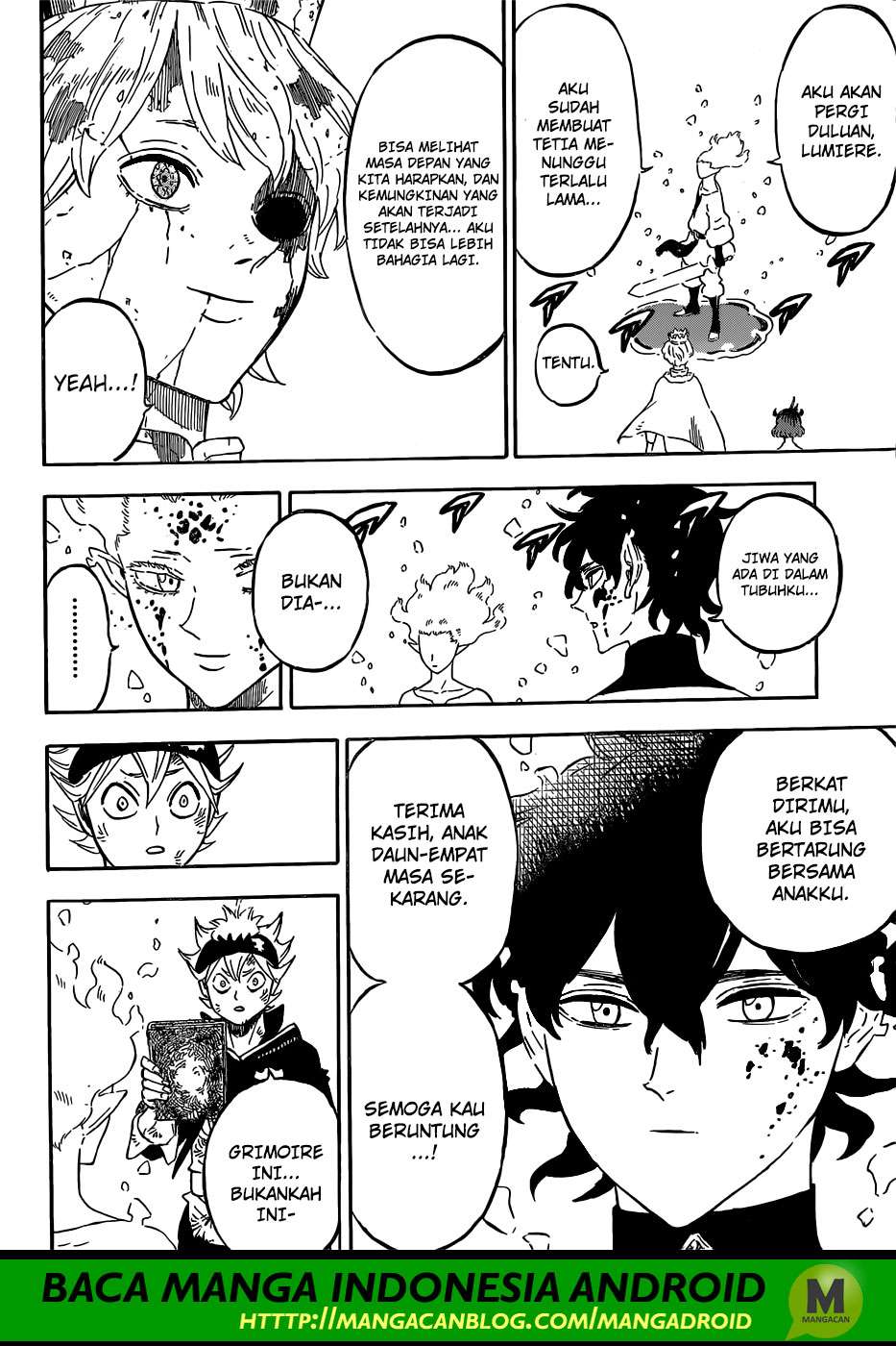 Black Clover Chapter 213 - halaman 14