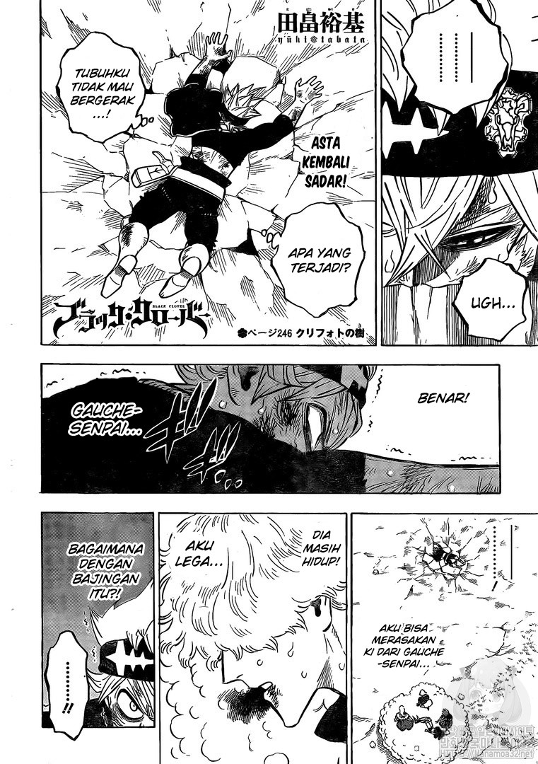 Black Clover Chapter 246 - halaman 3
