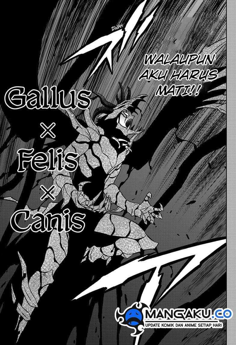 Black Clover Chapter 375 - halaman 4
