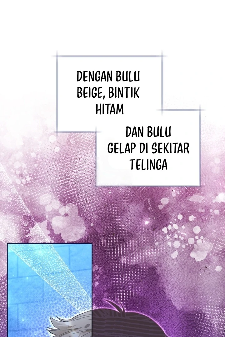 Black Killer Whale Baby Chapter 42 - halaman 2