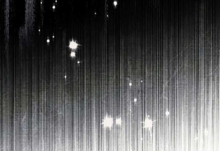 Black Killer Whale Baby Chapter 50 - halaman 17