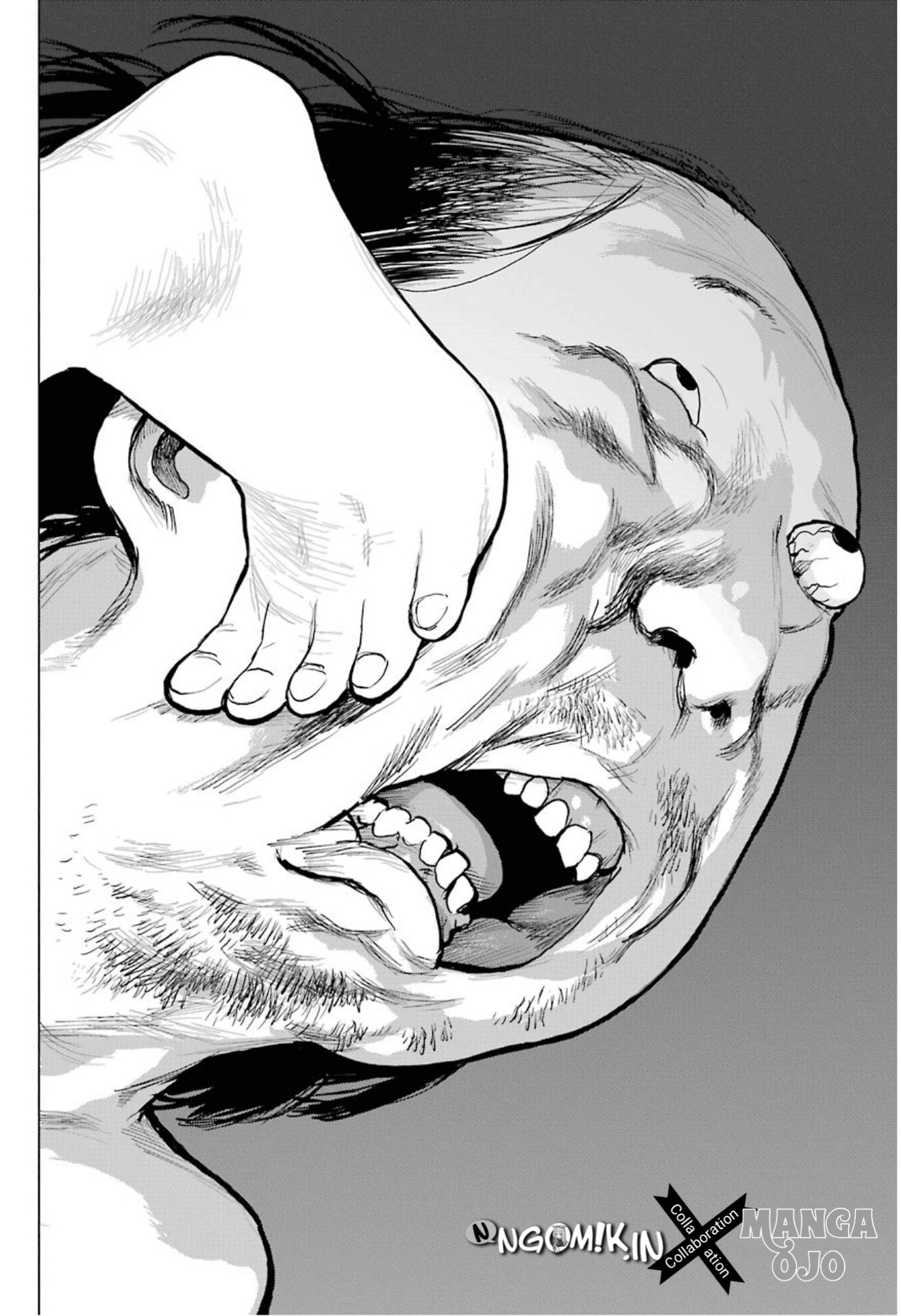 Blattodea Chapter 0 - halaman 38