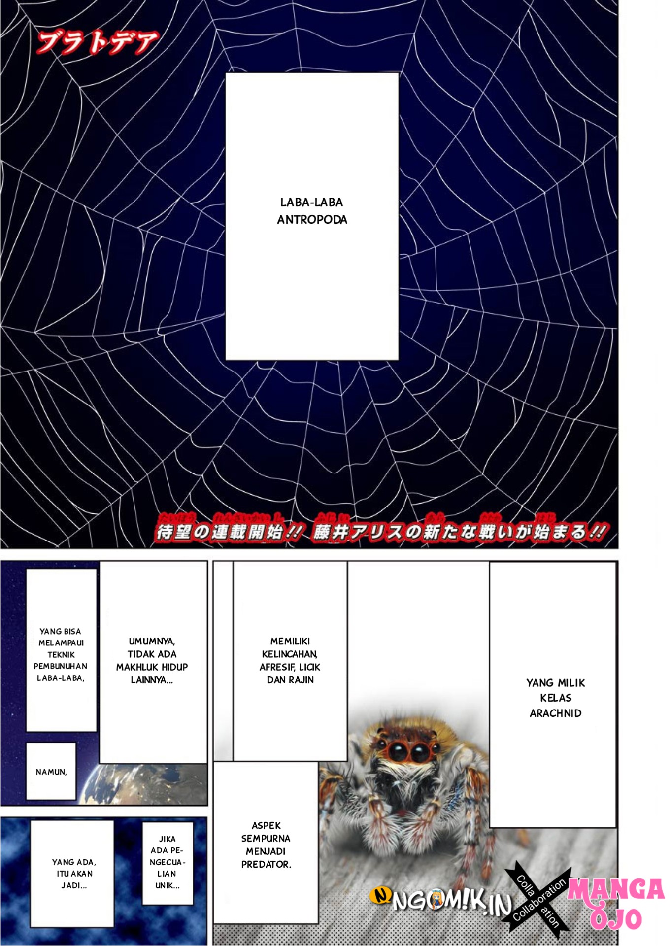 Blattodea Chapter 0 - halaman 5