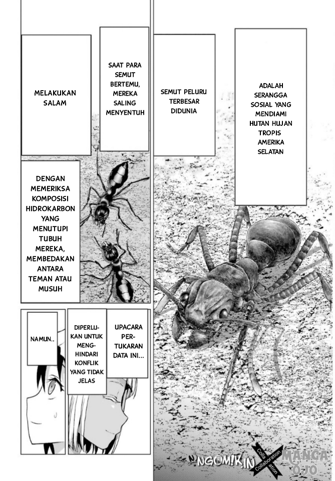 Blattodea Chapter 1 - halaman 42