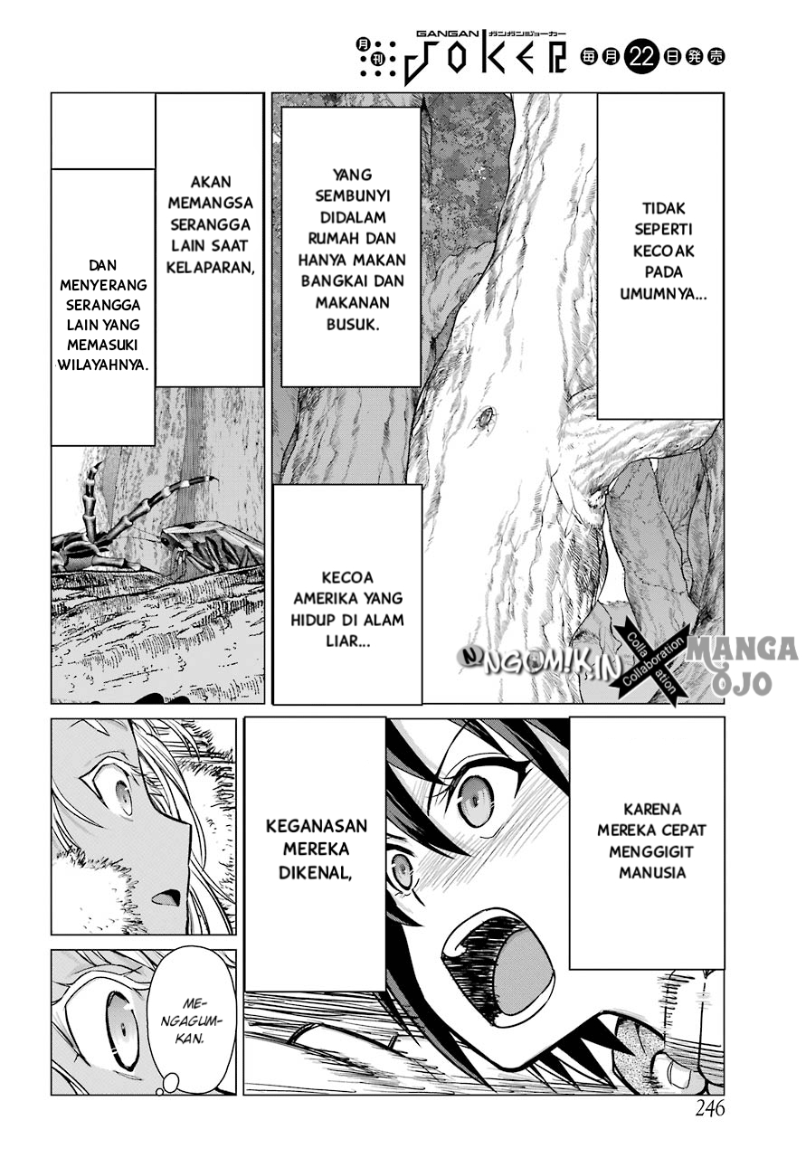 Blattodea Chapter 2 - halaman 16