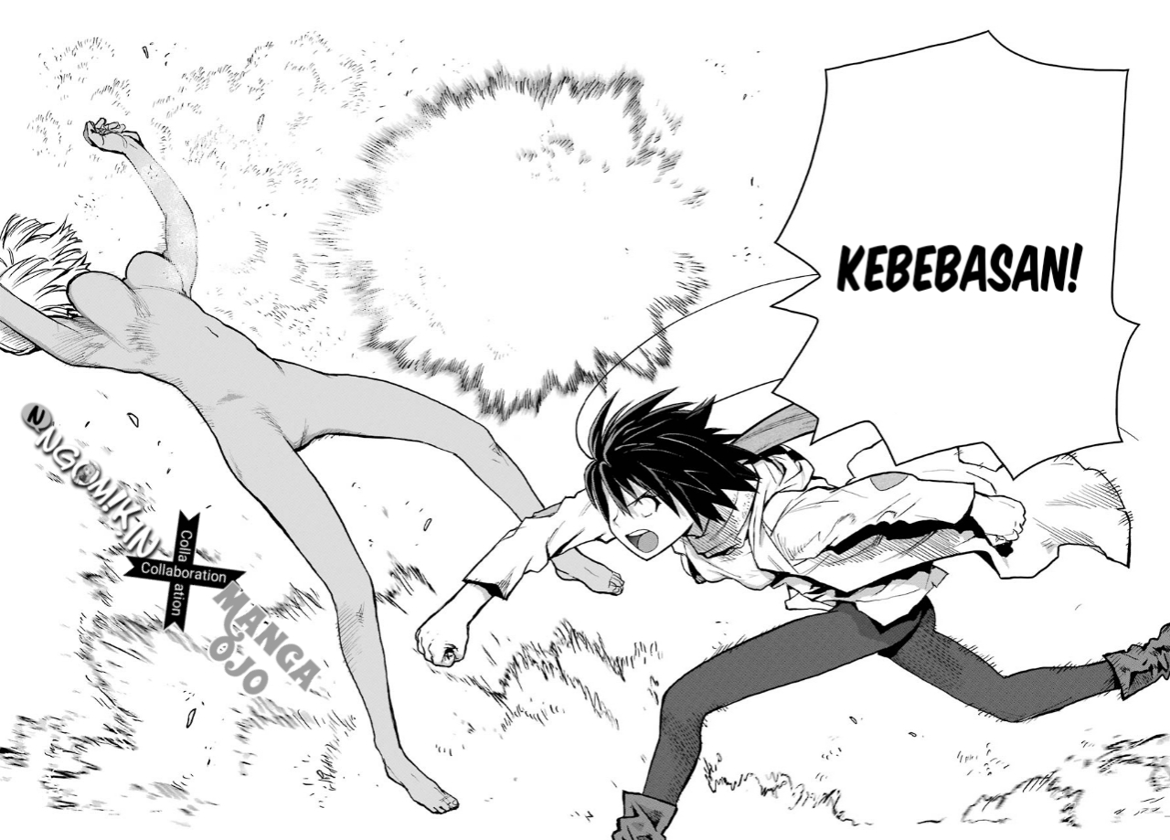 Blattodea Chapter 2 - halaman 33