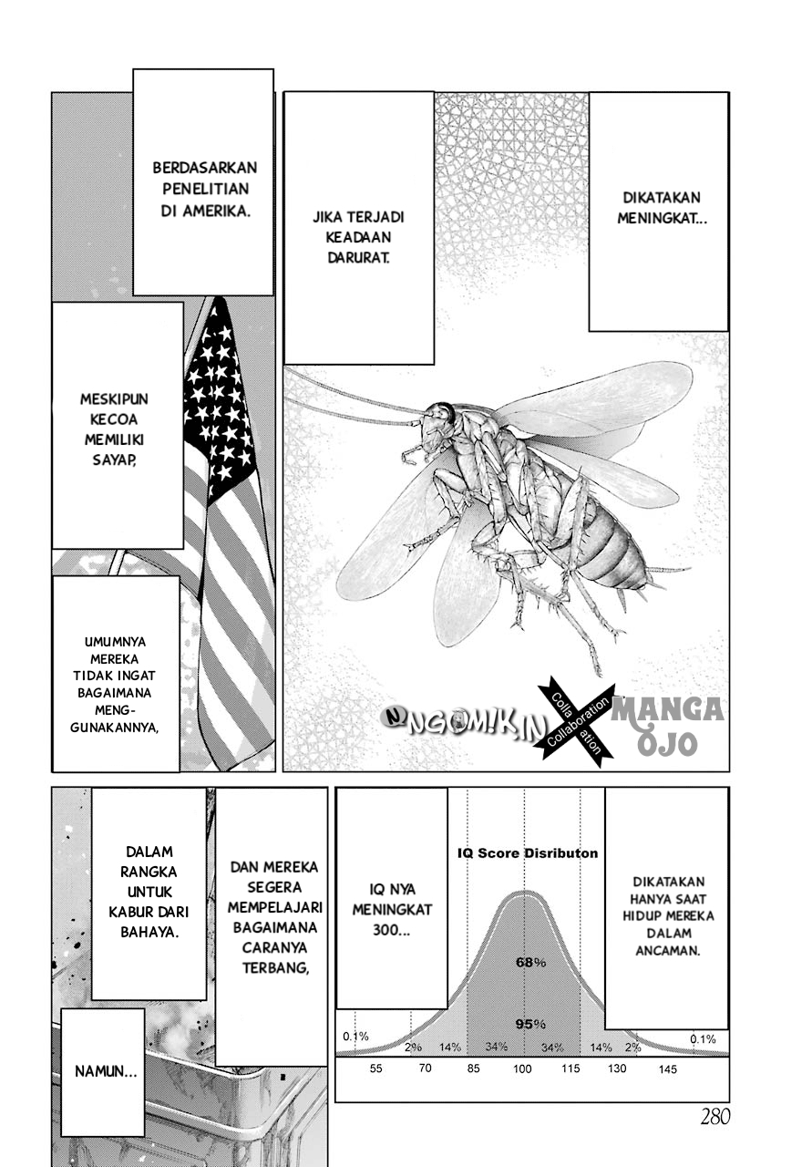 Blattodea Chapter 2 - halaman 47