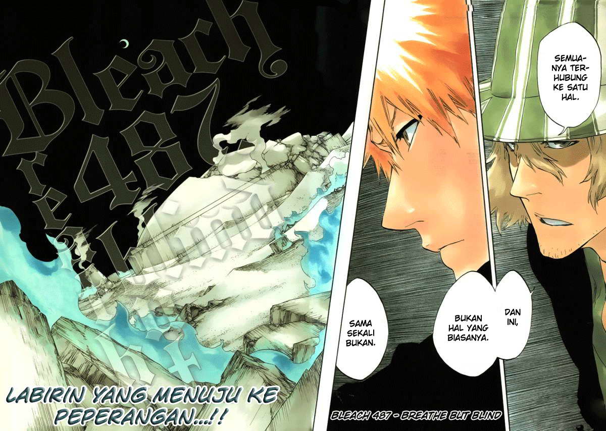 Bleach Chapter 487 - halaman 3