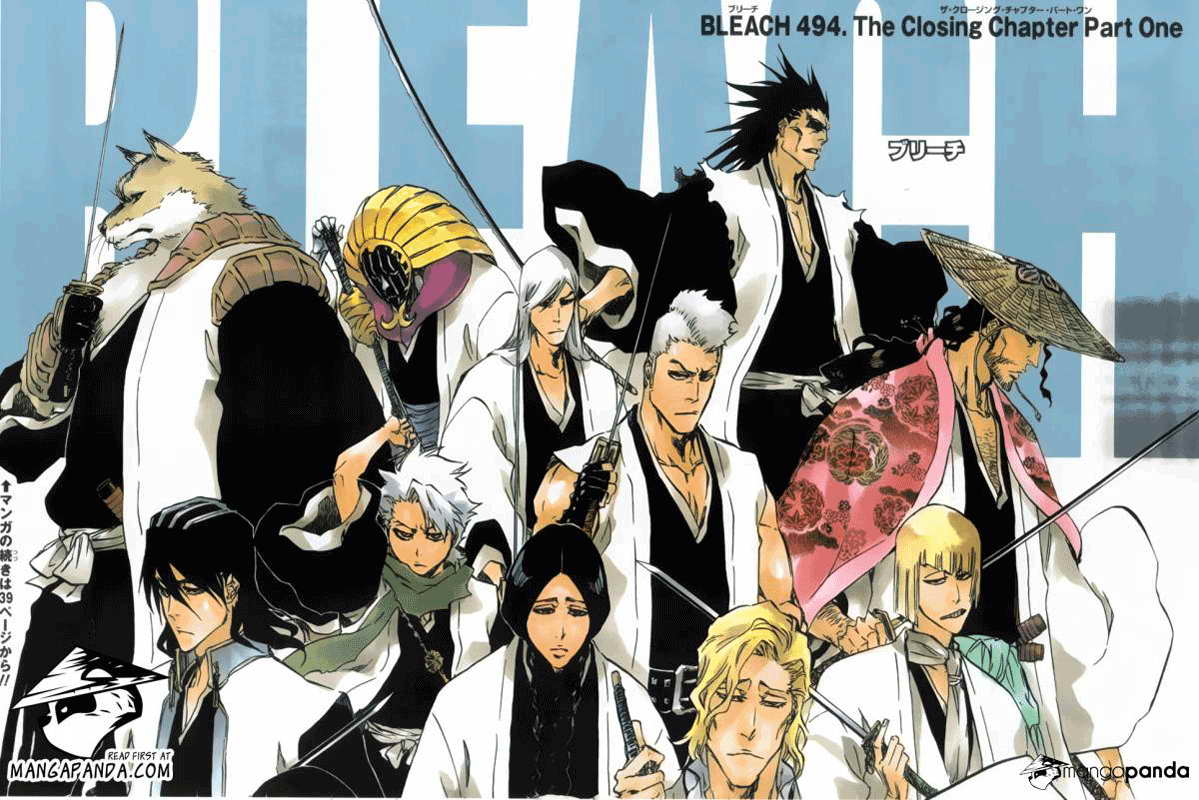 Bleach Chapter 494 - halaman 4
