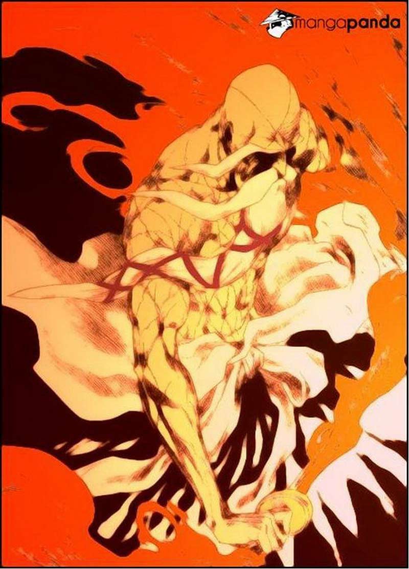 Bleach Chapter 509 - halaman 17