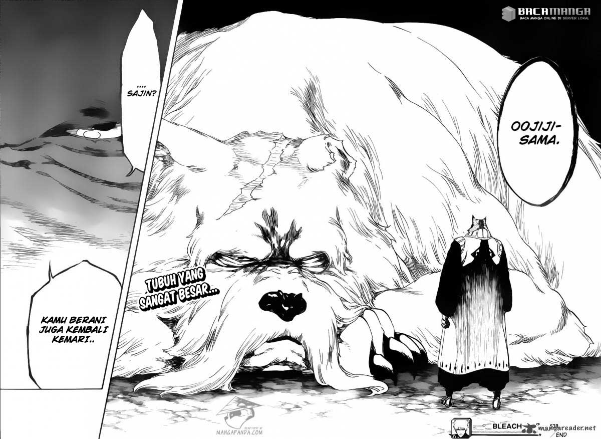 Bleach Chapter 538 - halaman 19