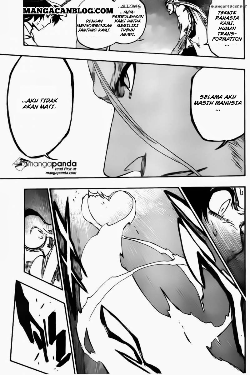 Bleach Chapter 557 - halaman 15