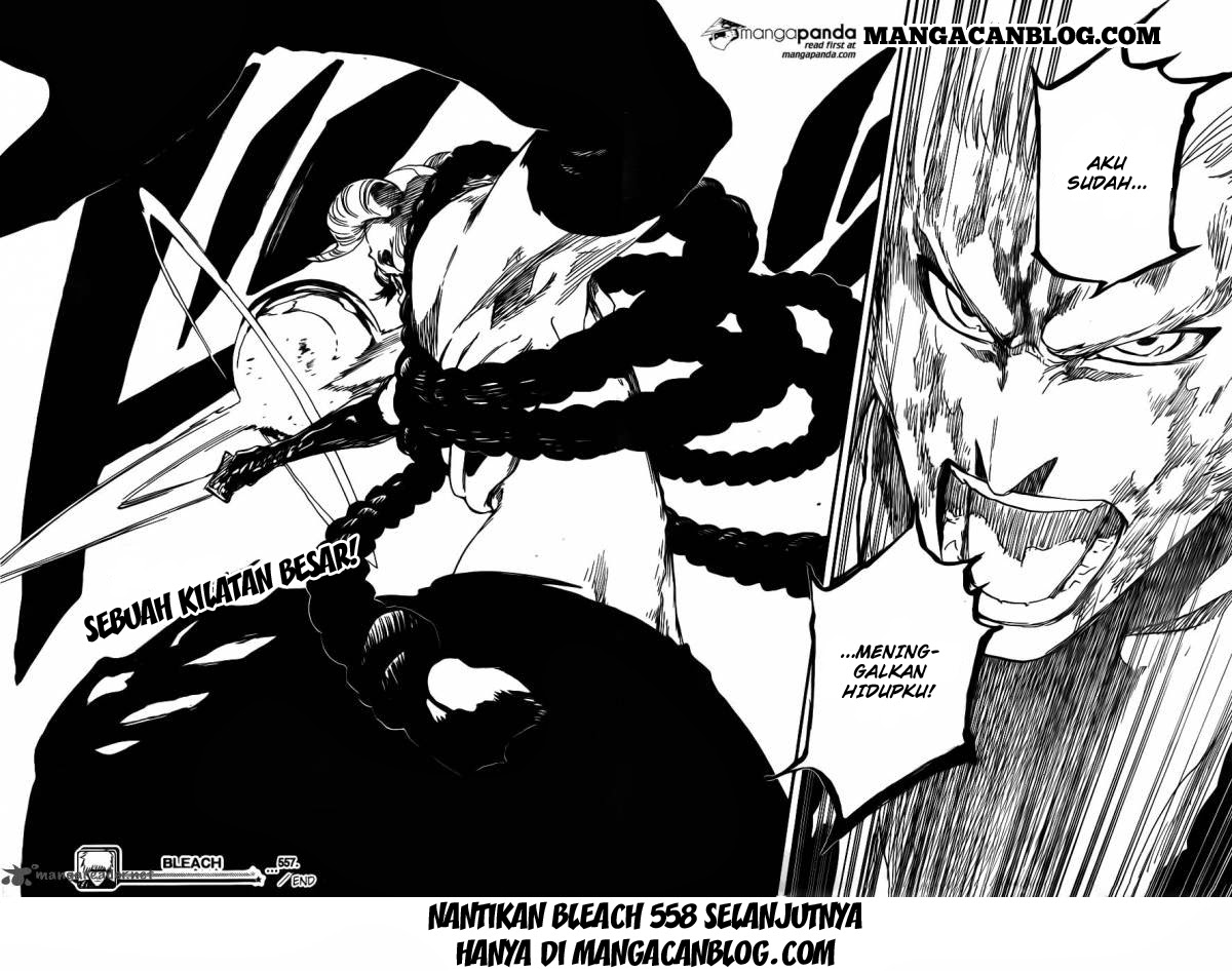 Bleach Chapter 557 - halaman 18