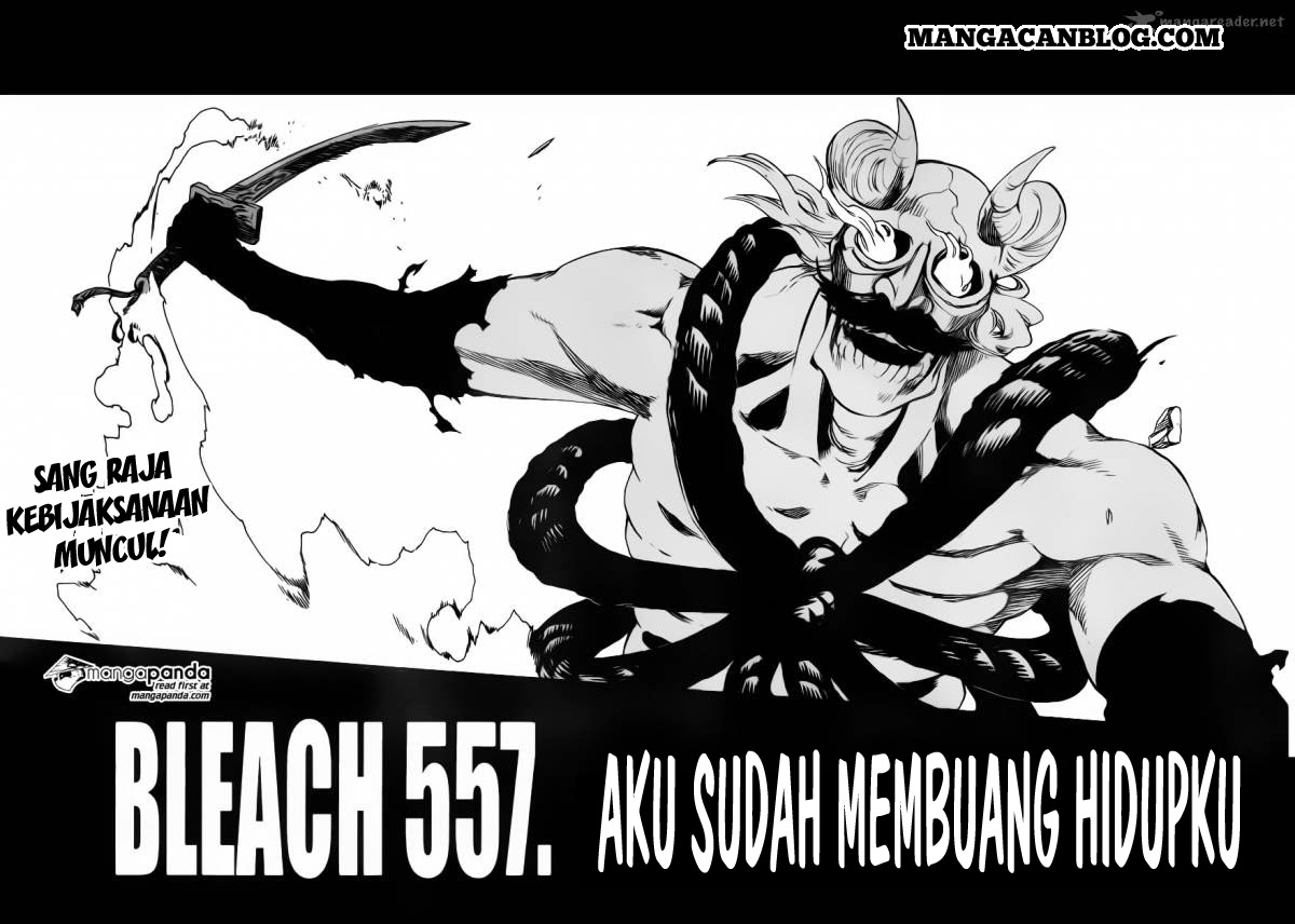 Bleach Chapter 557 - halaman 5