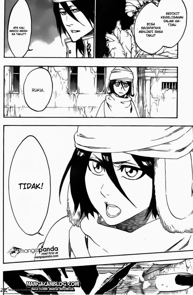 Bleach Chapter 569 - halaman 14