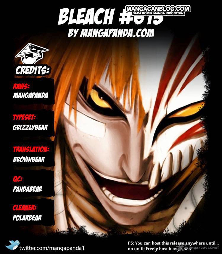 Bleach Chapter 613 - halaman 14