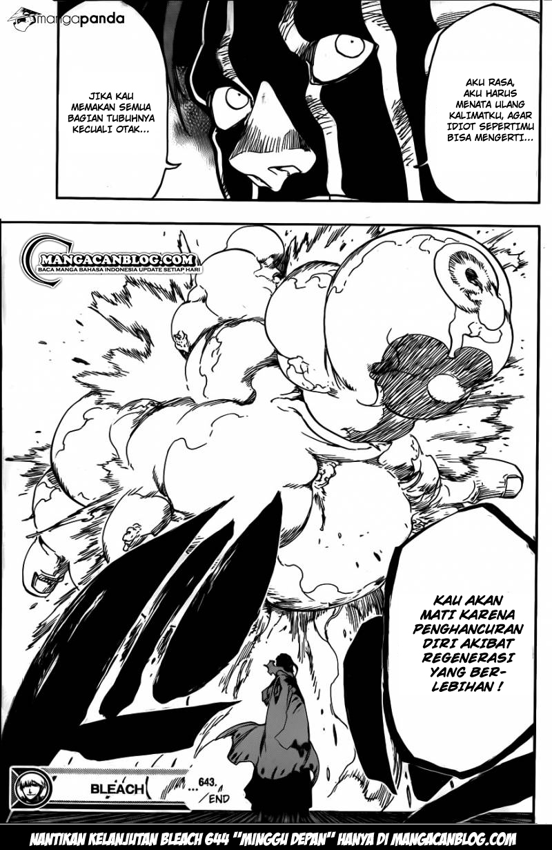 Bleach Chapter 643 - halaman 17