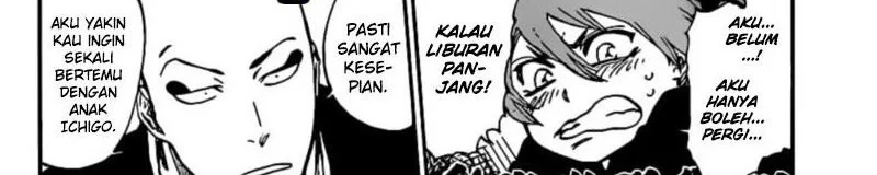 Bleach Chapter 687.1 - halaman 13