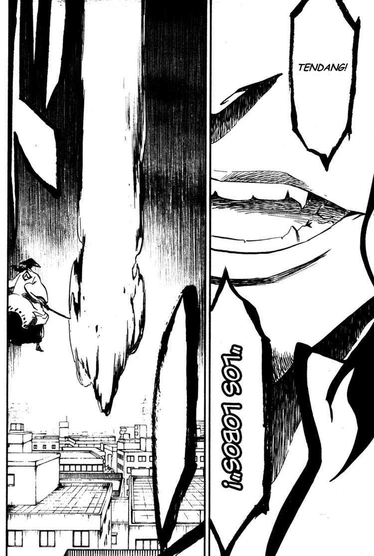 Bleach Chapter 361 - halaman 16